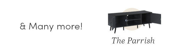 The parrish tv stand in grey