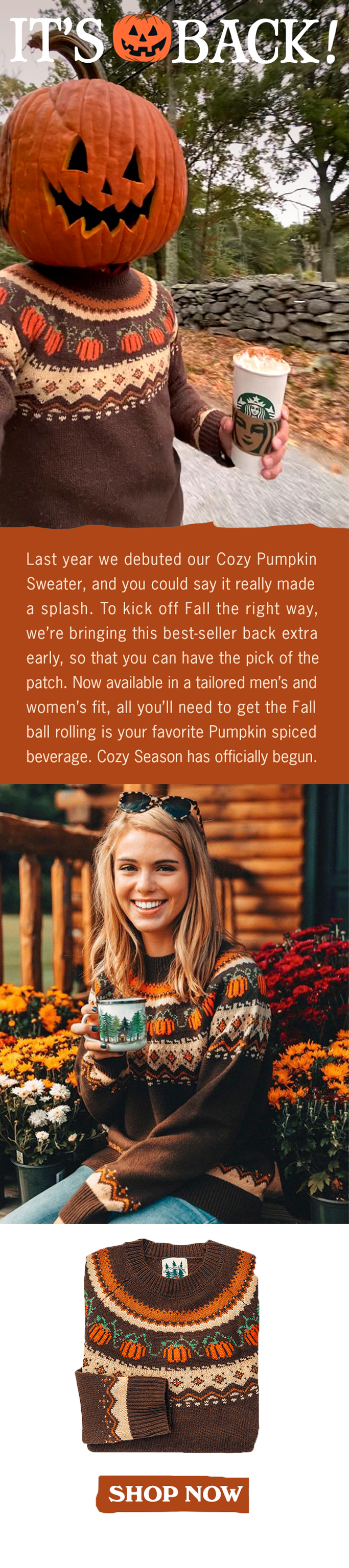 the cozy pumpkin sweater