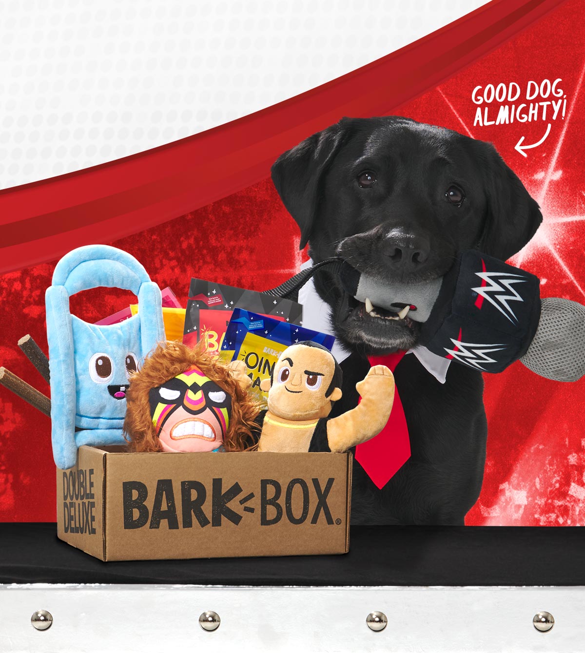 BarkBox Cyber Monday Deal: FREE Extra Toys + Home Alone Themed