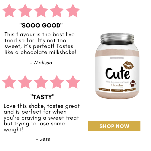 Meal Replacement Shake Bundle