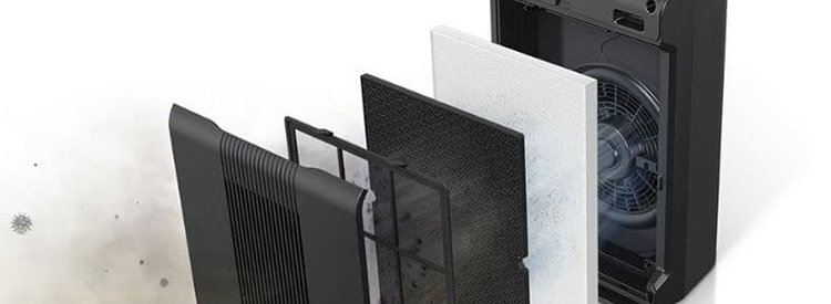 Do Air Purifiers Really Work? What You Need to Know