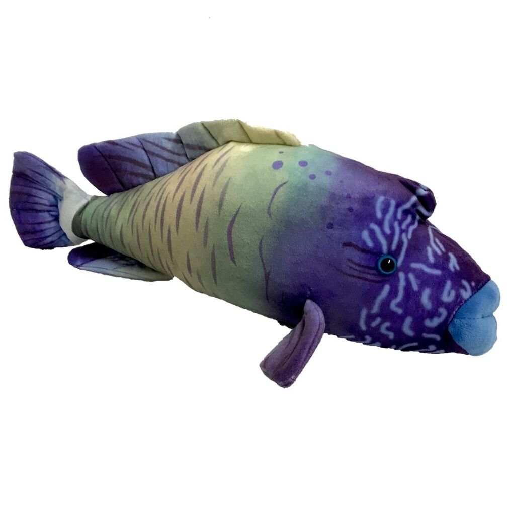 Drake DhuFish soft plush toy 22"/57cm Aquatic stuffed animal NEW
