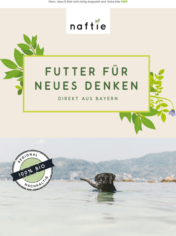 Wasserspa fr Dich und Deinen Hund