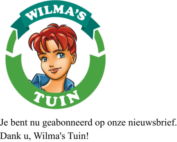 Nieuwsbrief inschrijving gelukt