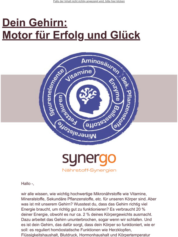 Das Gehirn als Motor fr Erfolg und Glck