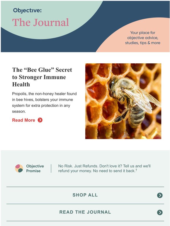 Can "Bee Glue" Boost Your Immune System?
