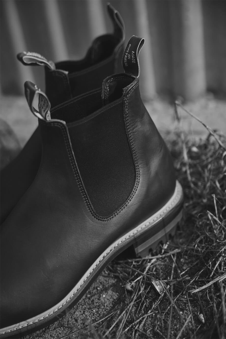 R. M. WILLIAMS GARDENER COMMANDO UNISEX - Classic ankle boots
