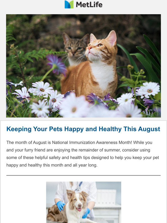 Tips and Tricks From Your Friends at MetLife Pet Insurance