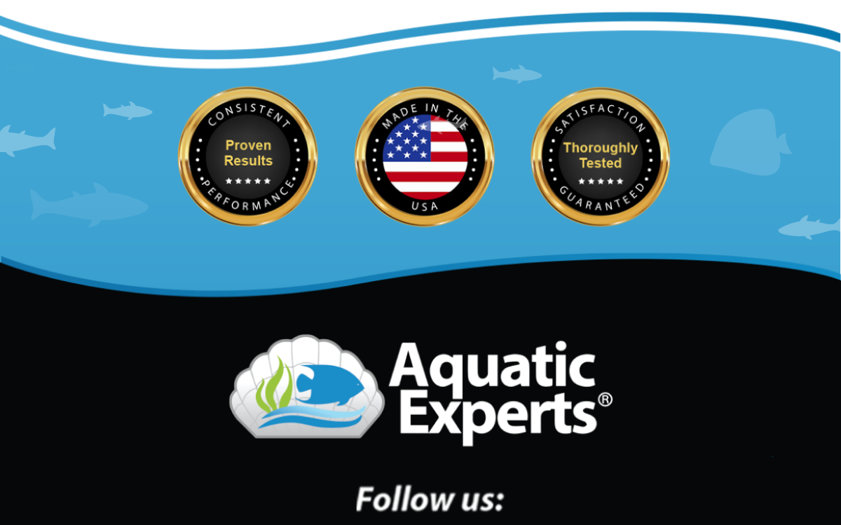 Experts Guide To Saltwater Aquariums Plus 3 Bonus Reports The secret