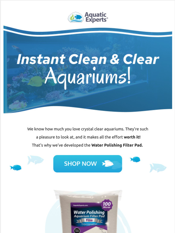 Experts Guide To Saltwater Aquariums Plus 3 Bonus Reports The secret