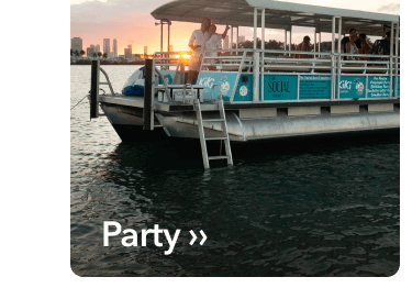Party