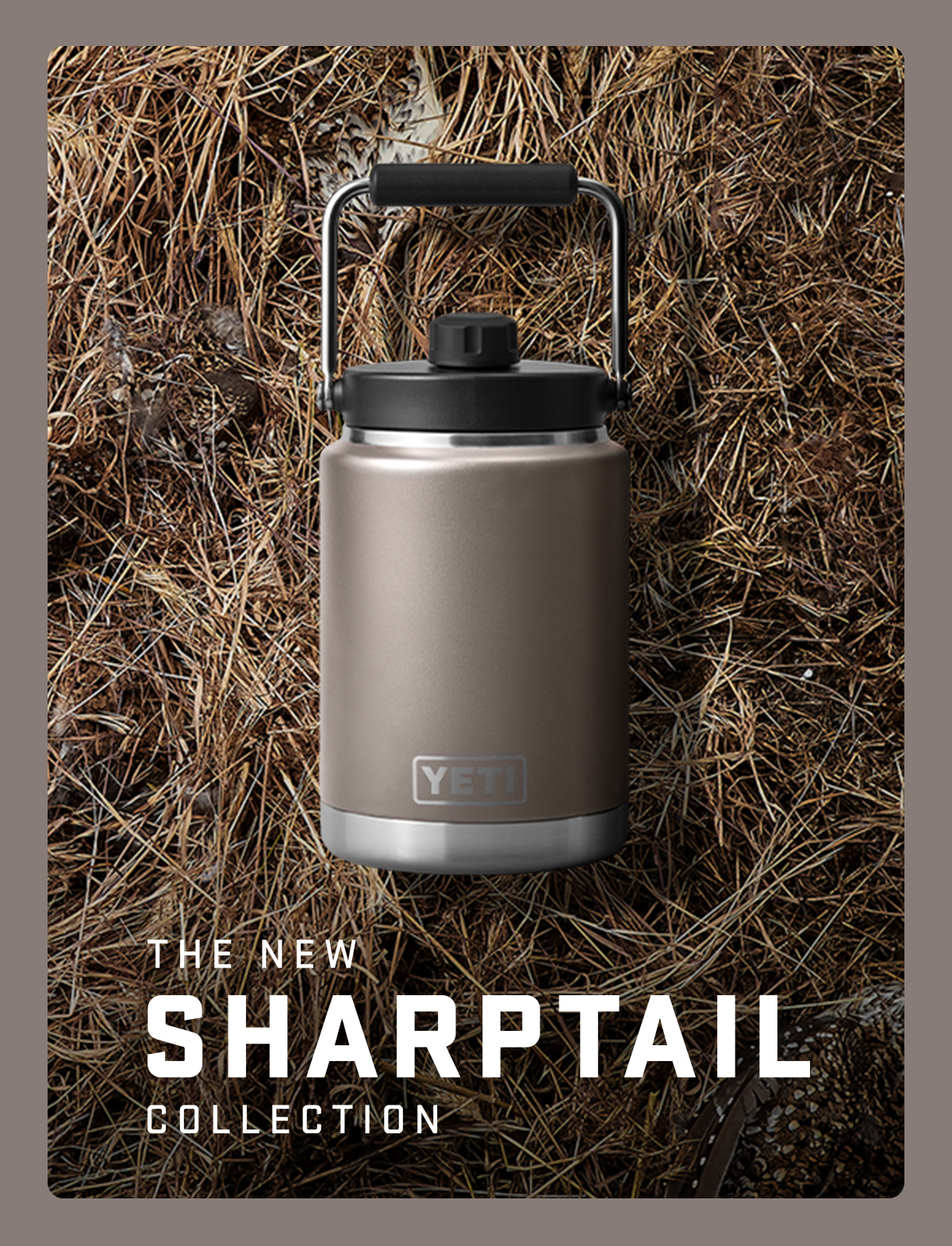 Sand, sharp tail taupe, and graphite differences : r/YetiCoolers