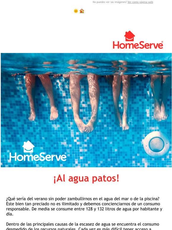 Al agua patos!  