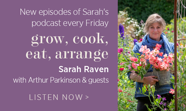 New episodes of Sarah's podcast every Friday - 'Grow, cook, eat, arrange' Sarah Raven with Arthur Parkinson & guests. Listen now >