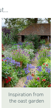 August is all about - Inspiration from the Oast Garden. 