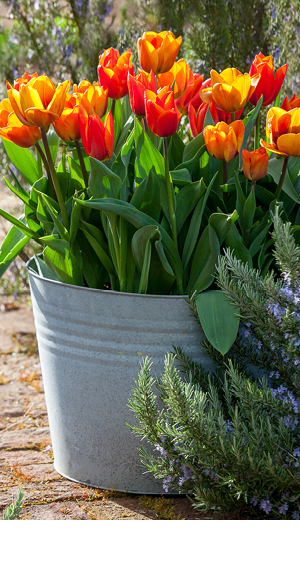 Large Zinc Planter. 