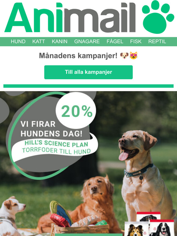 Lning och massa kampanjer 
