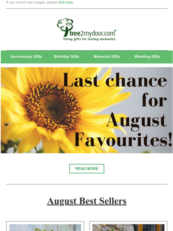 Last Chance! 