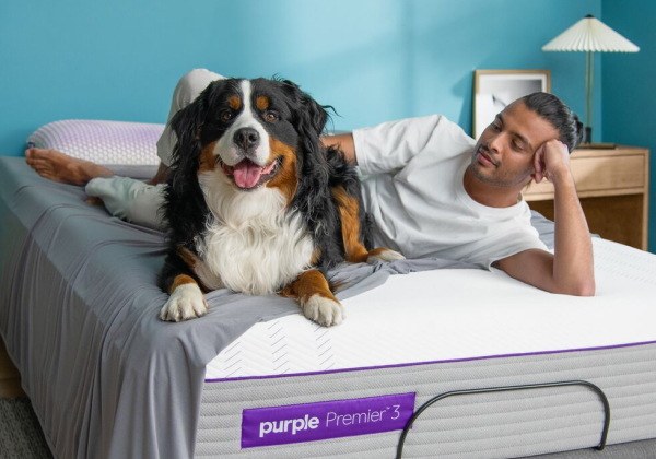 Dog purple hot sale mattress