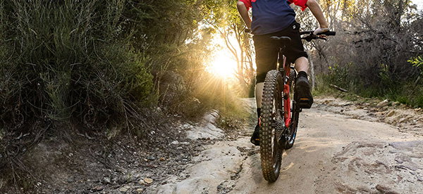 Siskiu D24 Expand your child's horizons 