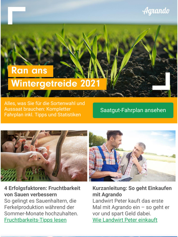 Psst, Tipps zur Wintergetreide-Wahl fr --