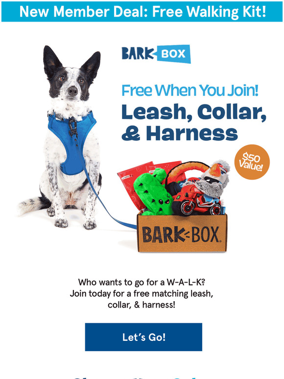 Limited Edition NBA Box and FREE NBA Team Jersey with BarkBox - Daily Deals  & Coupons