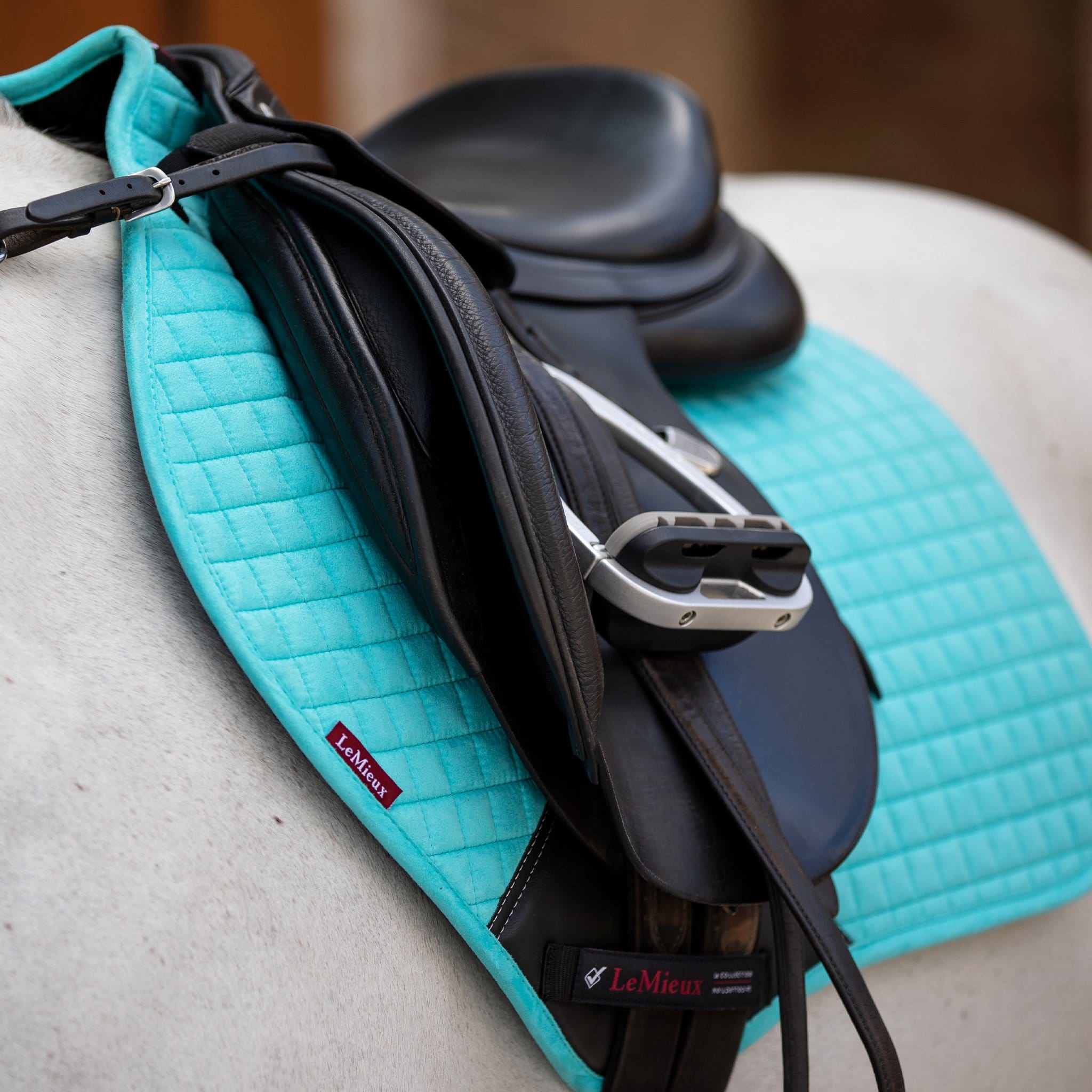 Equus Explore Our Saddle Pad Collection Milled