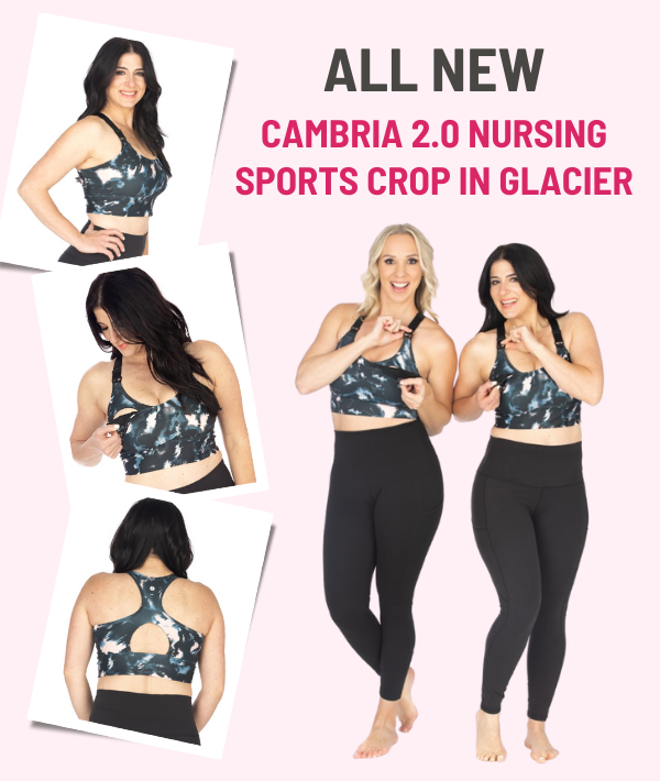 Love and Fit: New & Improved Cambria Bra 2.0