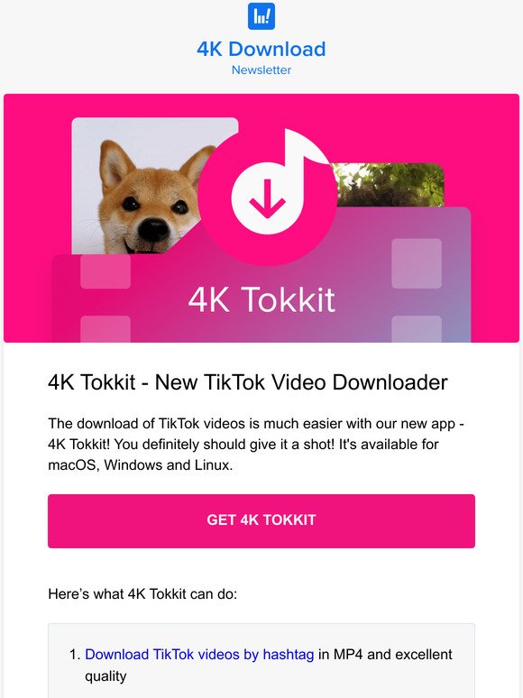 4K Tokkit, TikTok Videos, Hashtags & Accounts Downloader