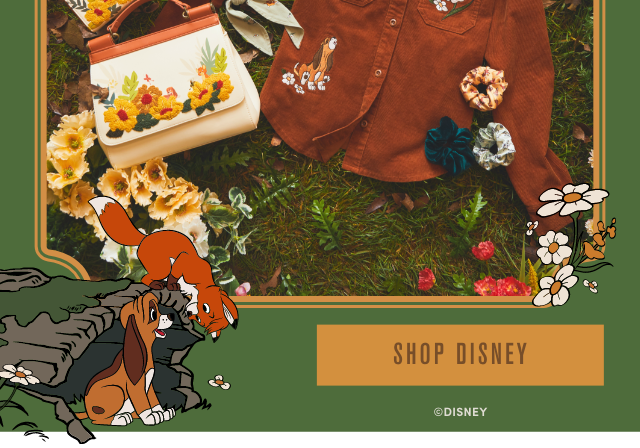 boxlunch fox and the hound