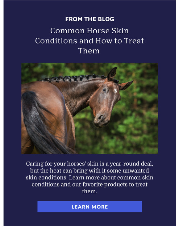 Corro Common Horse Skin Conditions Milled