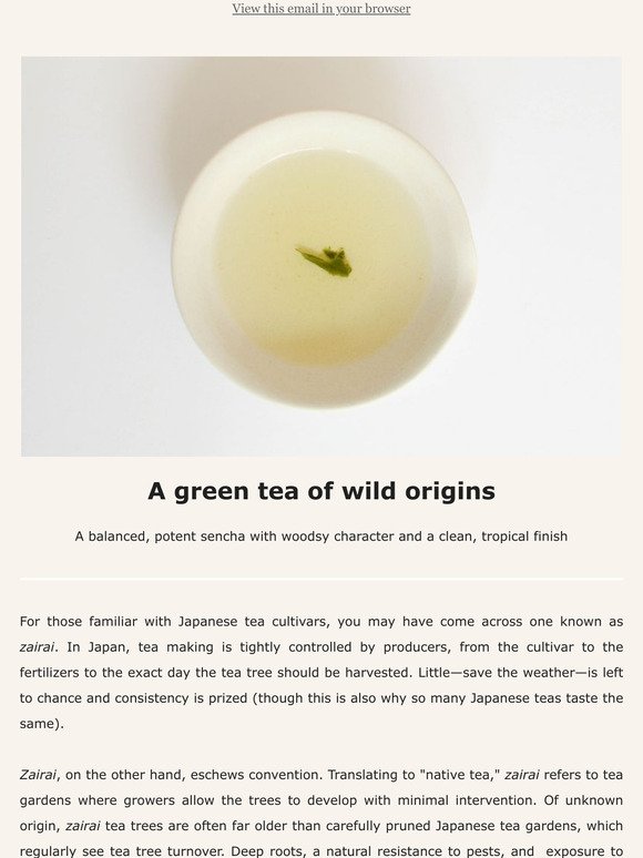 Introducing a sencha from wild tea trees