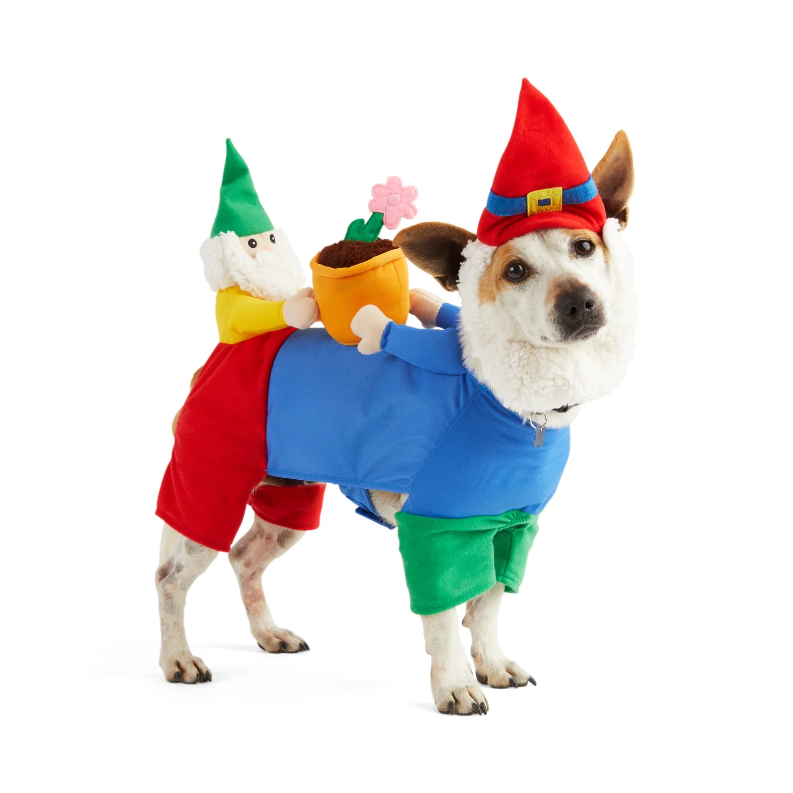  Bootique Gnome Sweet Gnome Dog Illusion Costume, Medium