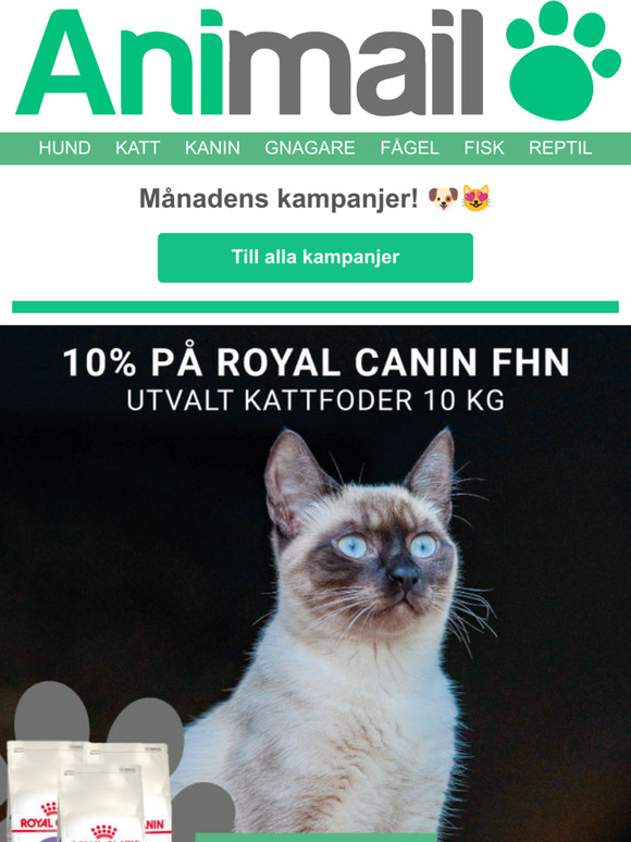 ntligen nya mnadskampanjer 
