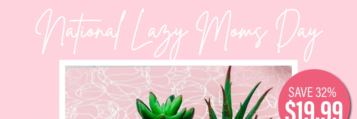National Lazy Moms Day