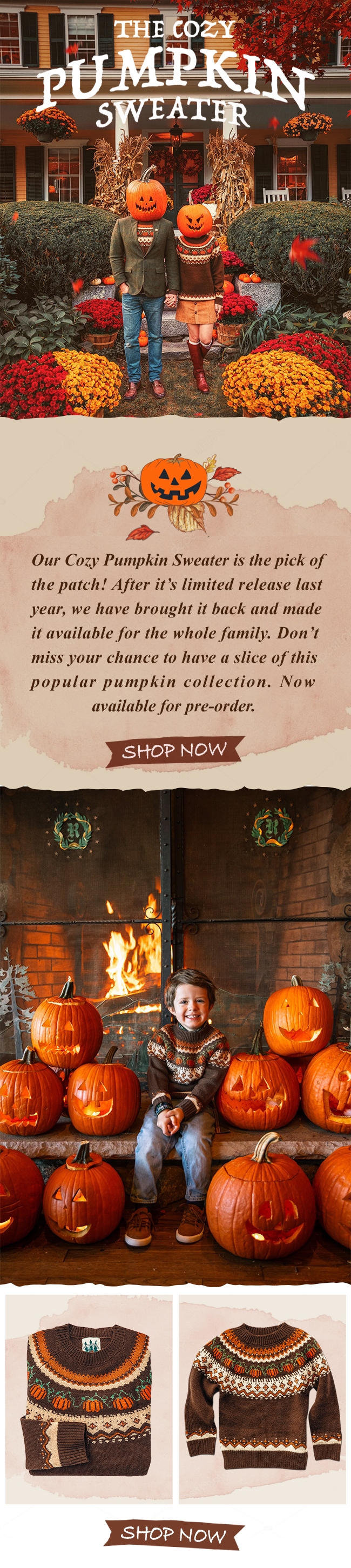 the cozy pumpkin sweater