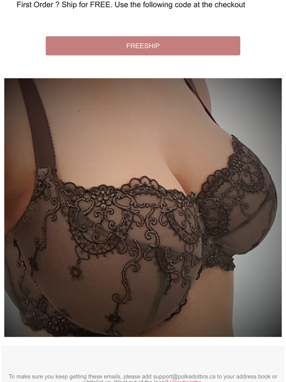 Free Shipping - Limited Offer