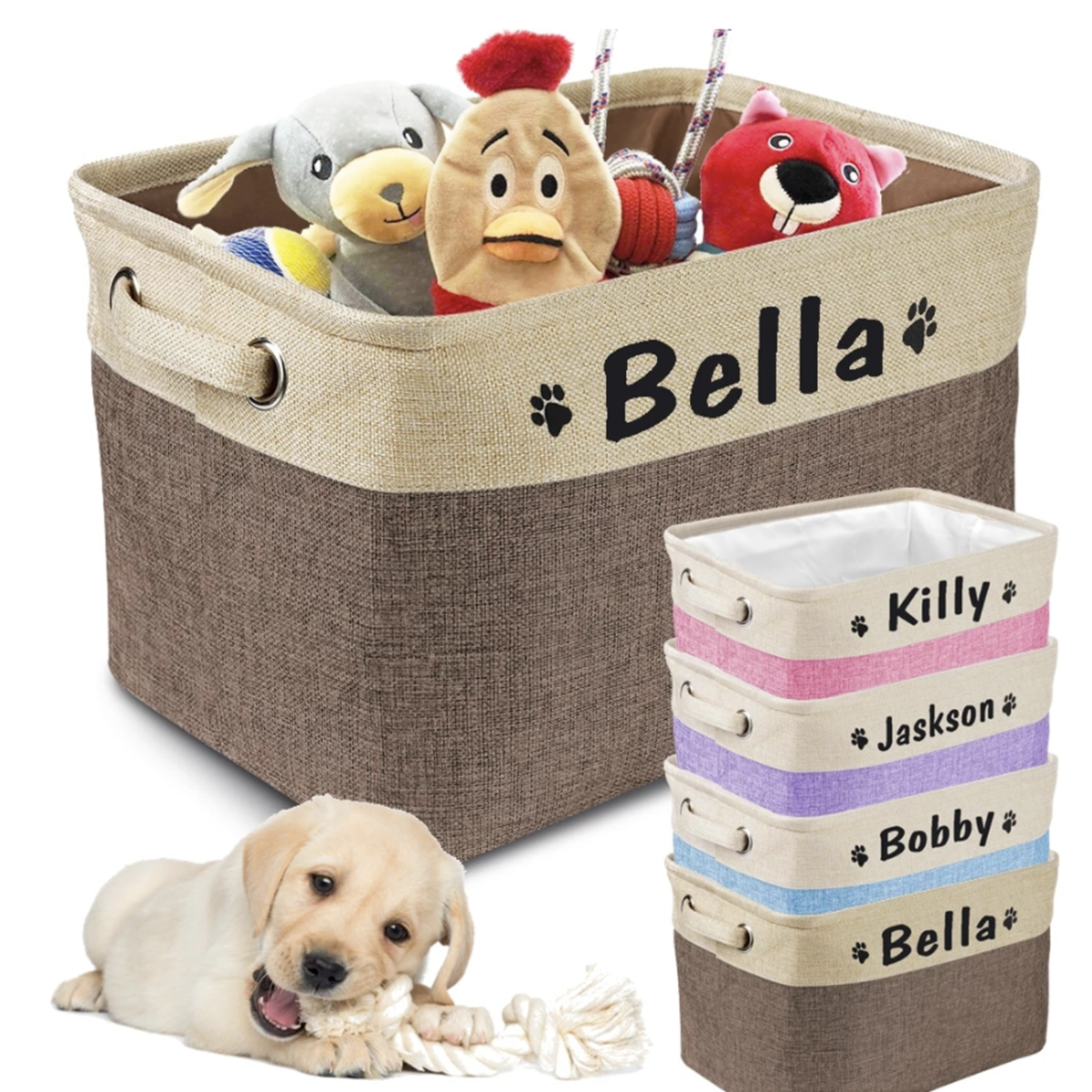 personalised dog box