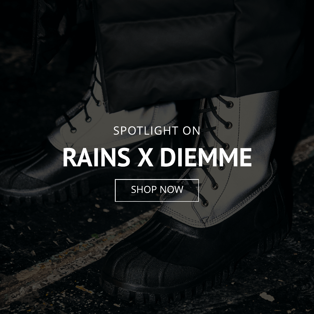 rains x diemme