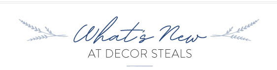 New At Decor Steals