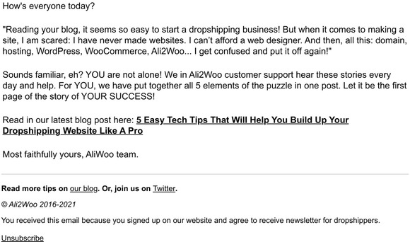 5 Easy Tech Tips That Will Help You Build Up Your Dropshipping Website Like A Pro