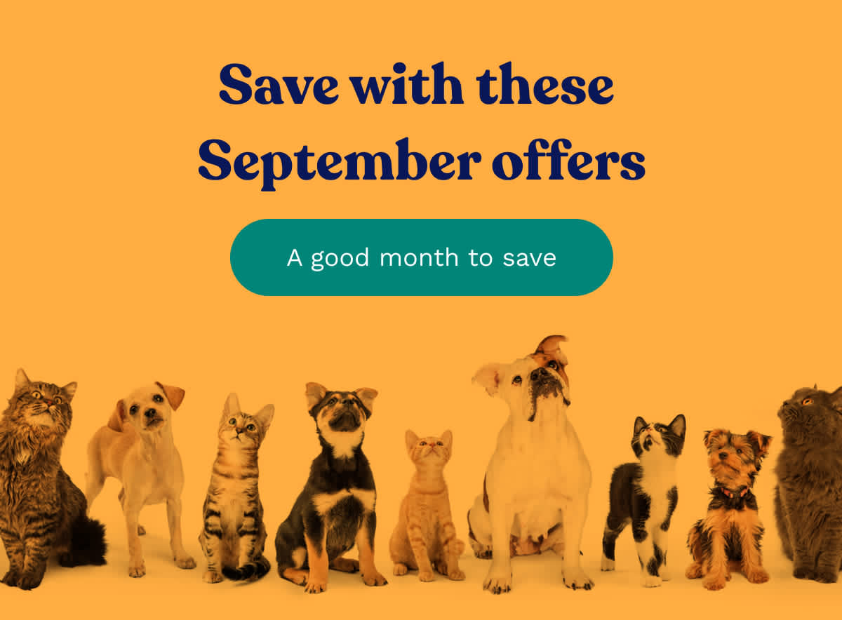 Pet Supermarket Kick off the month with these offers Milled