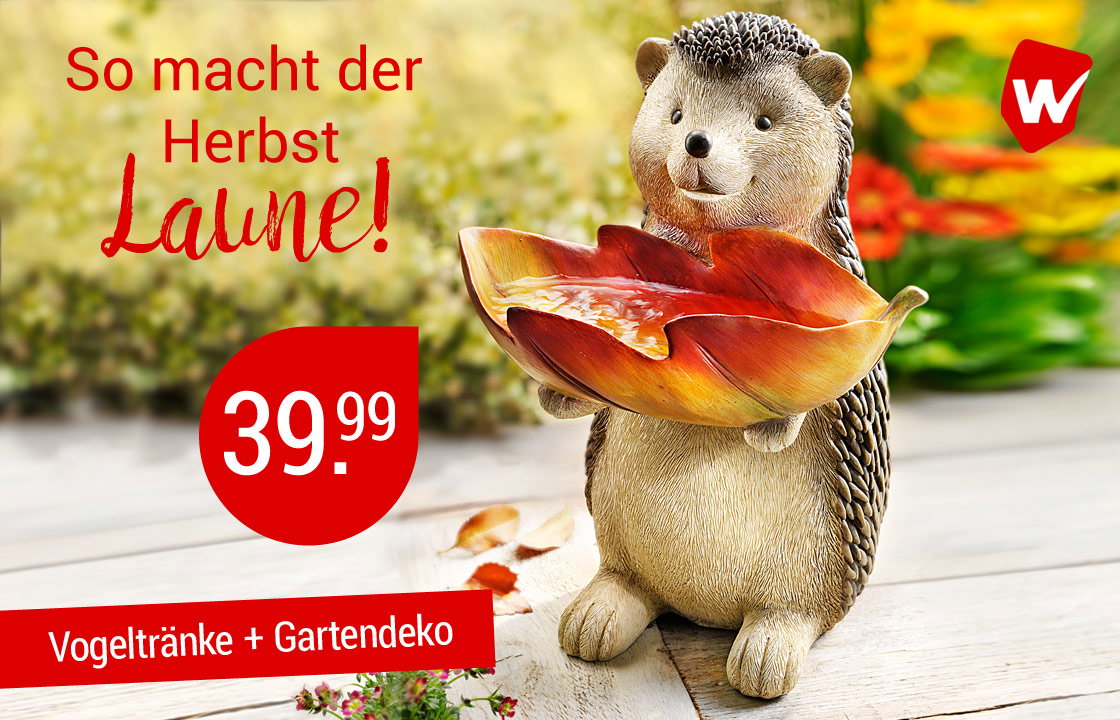 Vogeltränke Igel "Oskar" - hier klicken!