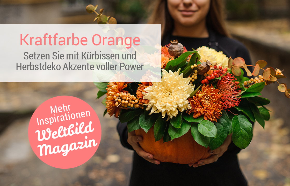 Weltbild Magazin - hier klicken!