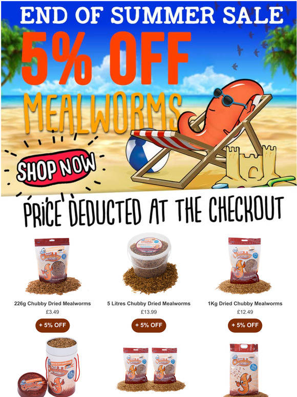   End OF Summer Flash Sale  