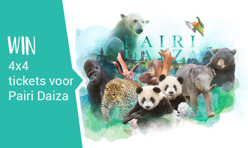 Ticket Pairi Daiza Moins Cher