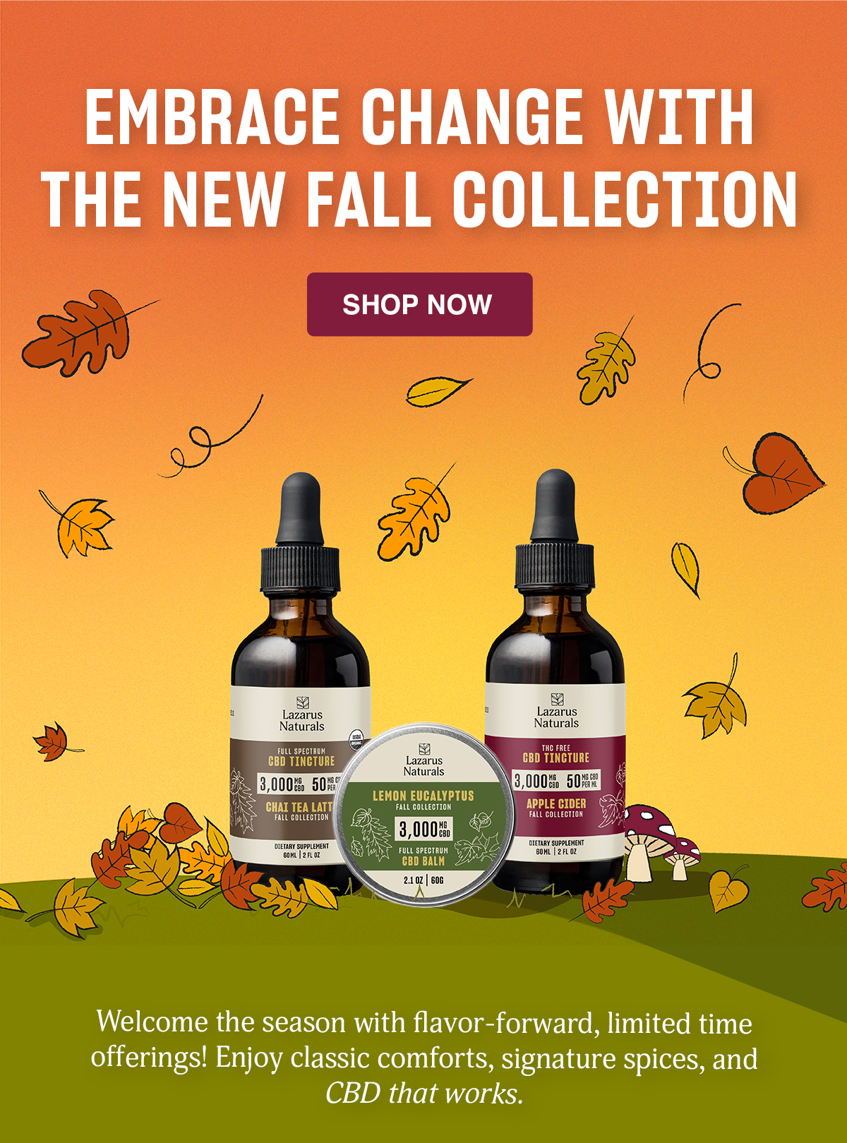 Lazarus Naturals: Try the new fall collection!