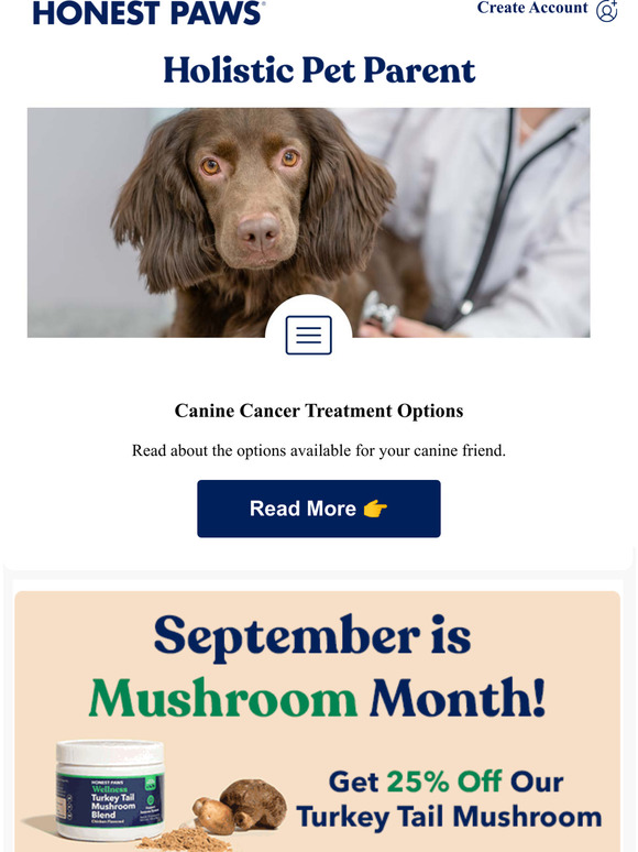 Honest Paws Canine Cancer. Here's What You Need to Know Milled