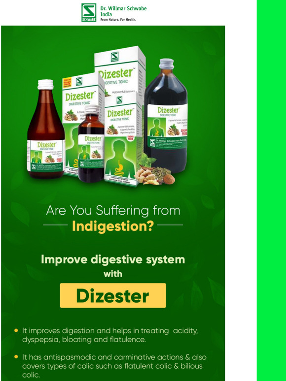 Suffering from Indigestion? Try Dizester
