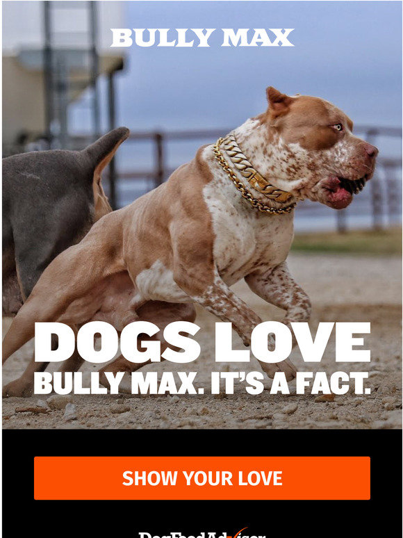 bully max sa